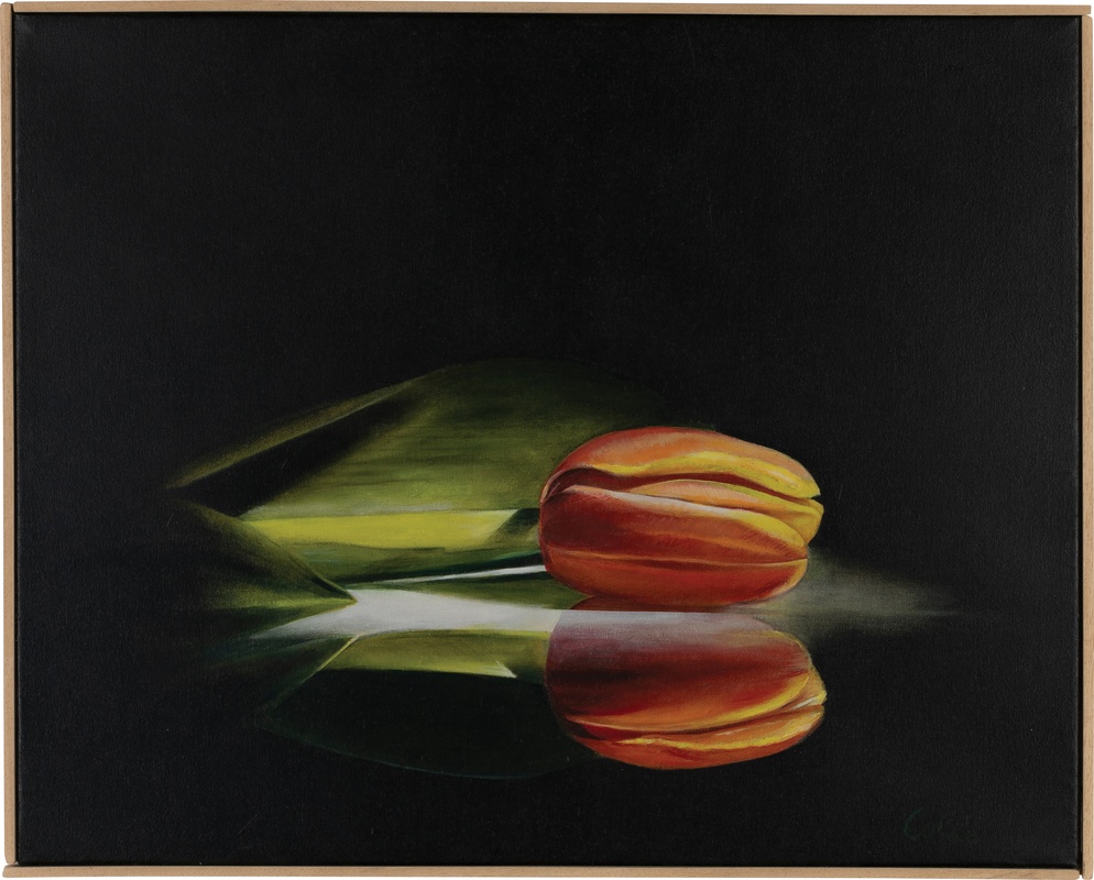 Daniela Colle | Tulipano rosso con riflesso | ARTT 163 