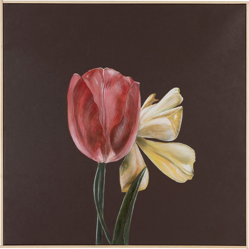 Daniela Colle | Due tulipani | ARTT 165