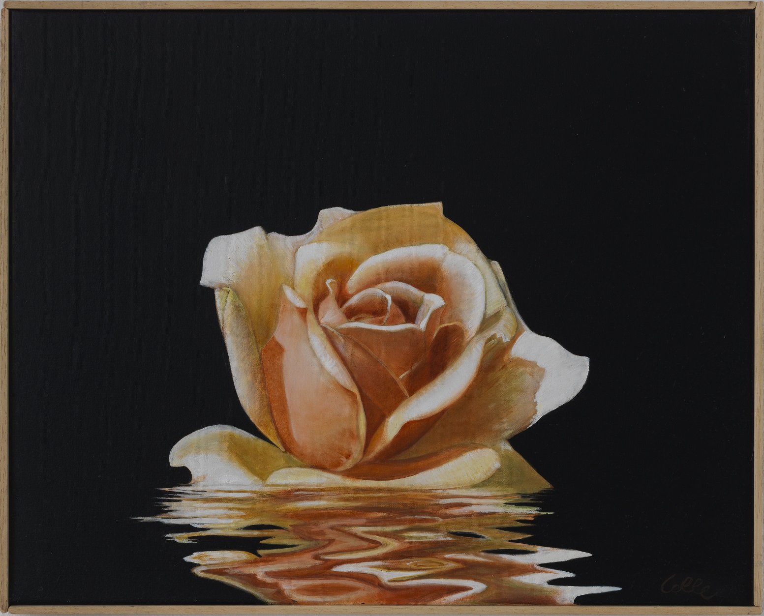 Daniela Colle | Orange Rose | ARTT 237