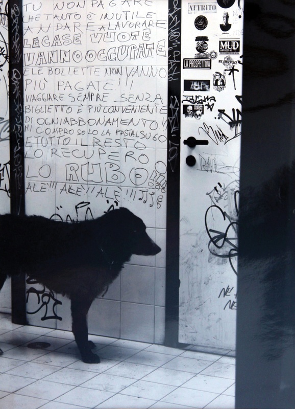 Matteo Marzano | Vita da cani | ARTT 111